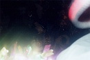 1999-04-13-057