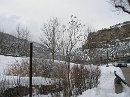 2006-01-19 11-43-57