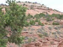 2006-07-04 16-54-30