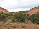 2006-07-04 16-58-57