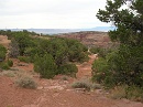2006-07-04 17-11-31