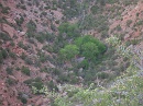 2006-07-04 18-08-23