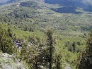 2006-08-05 16-19-21