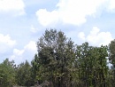 2001-08-25 11-42-11