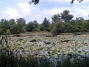 2001-08-25 13-17-04